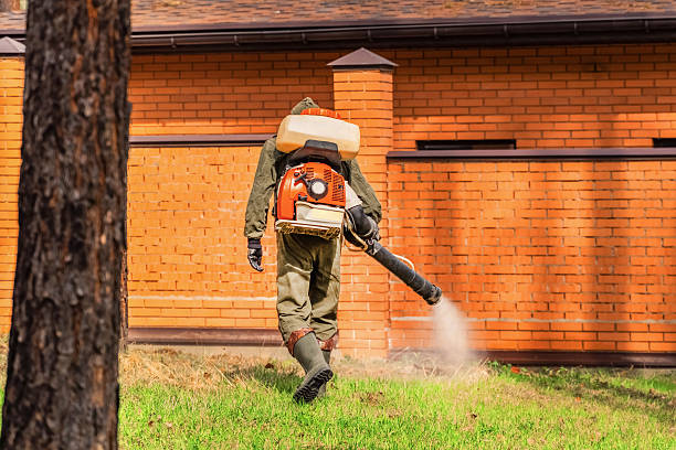 Trusted Cockroach Control service in Sun Village, CA - Nex Pest Control